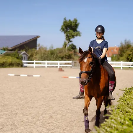 Alte Schule 7 Сasa de vacaciones Staberdorf