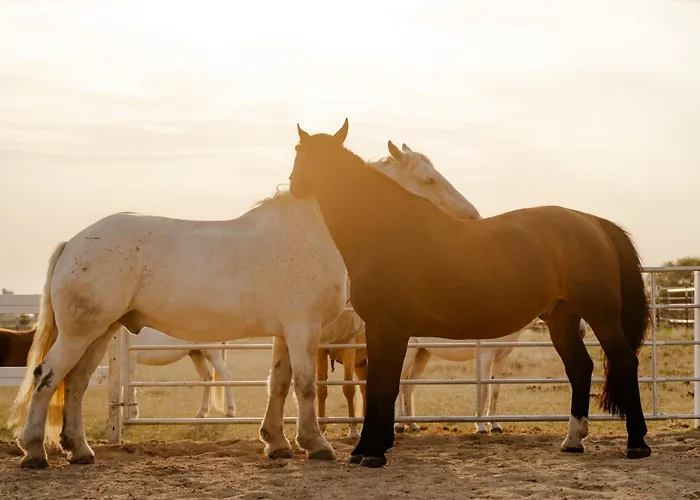 Alte Schule 7 Casa vacanze Staberdorf