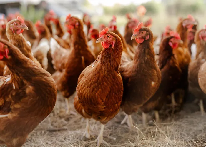 Alte Schule 7 Casa vacanze