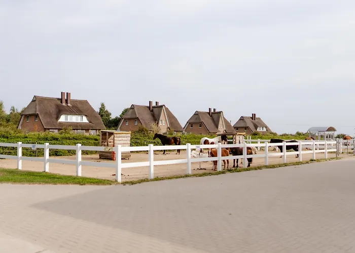 Alte Schule 7 Casa vacanze