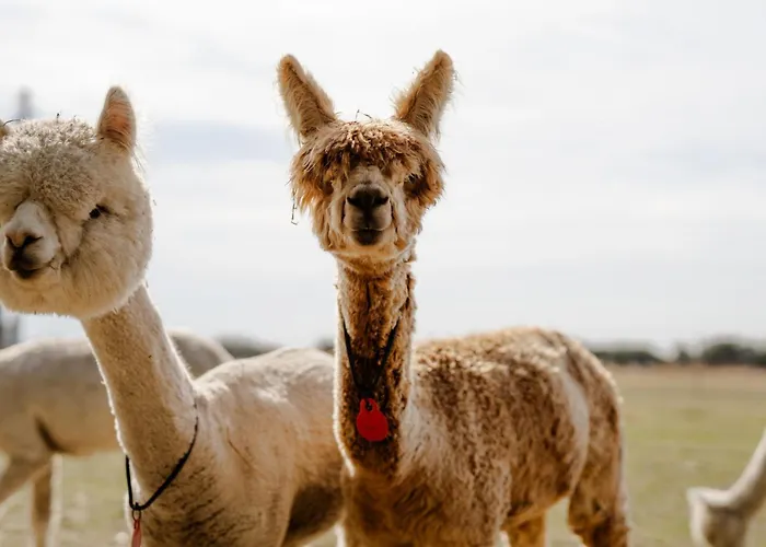 Casa vacanze Alte Schule 7