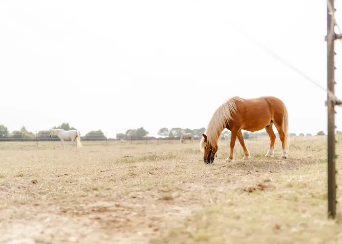 Alte Schule 7 * Staberdorf