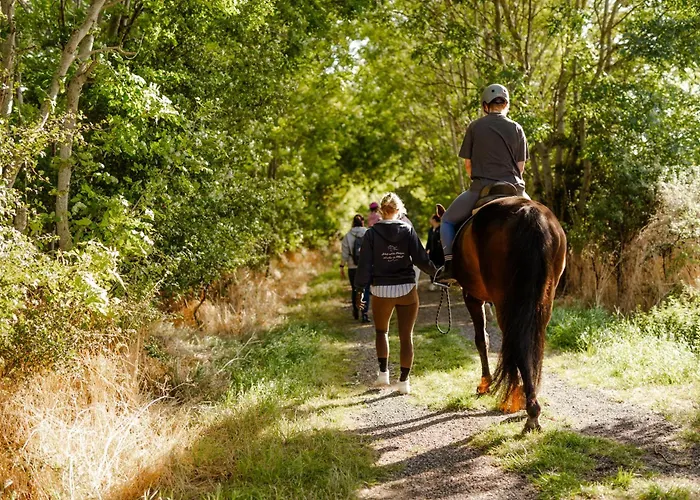 Casa vacanze Alte Schule 7 *