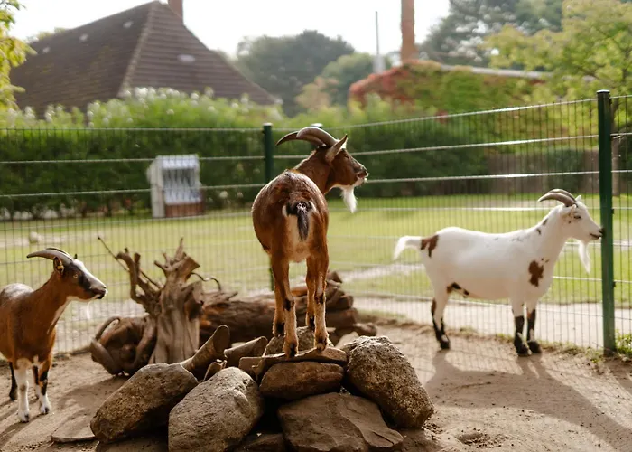 Alte Schule 7 Casa vacanze *