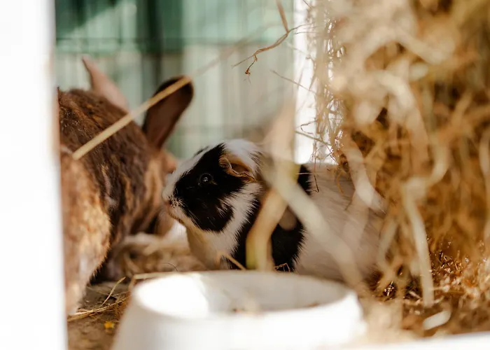 Alte Schule 7 Casa vacanze